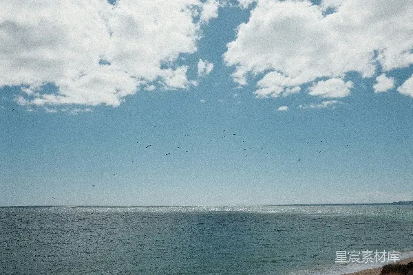 高清摄影 海天一色，自由飞翔