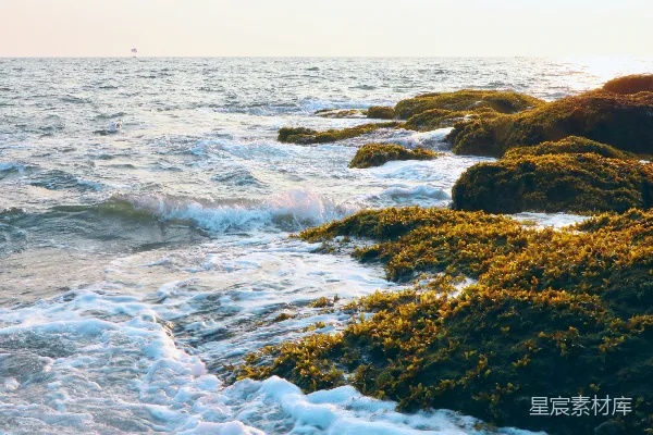 高清摄影 海浪拍打岩石