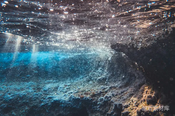 高清摄影 水下世界的神秘与宁静