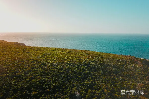 高清摄影 海岸与森林的宁静美景