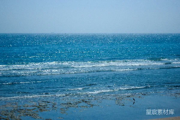 高清摄影 宁静的海滩与海鸥