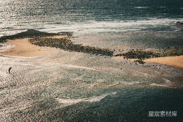 高清摄影 海浪与风筝冲浪者的剪影