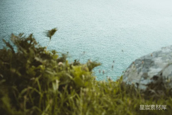 高清摄影 海岸边的绿色植物与海水