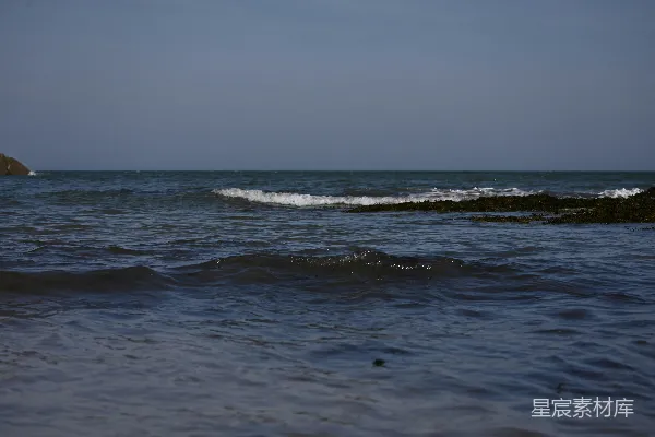 高清摄影 海边的波浪与海藻