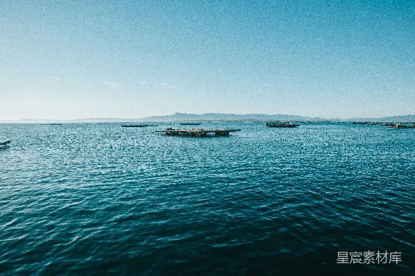 高清摄影 宁静的海上牧场