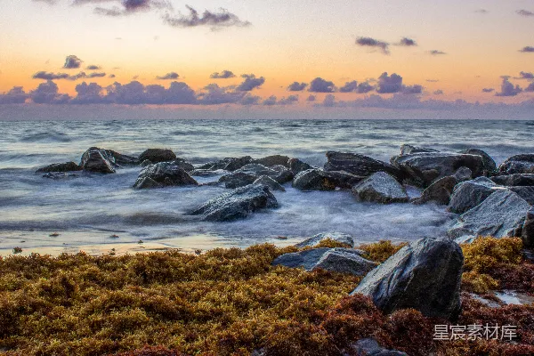 高清摄影 海浪拍打岩石的日出景象