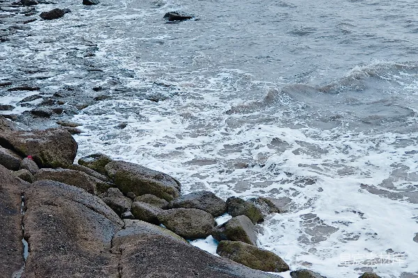 高清摄影 海岸礁石与波涛