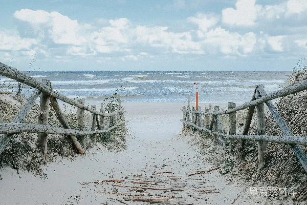高清摄影 ```json {   title: 海滩上的木栅栏入口,   keys: [海滩, 木栅栏, 自然景观, 休闲, 户外],   descs: 图片展示了一条由木栅栏围成的小路，通向海滩。天空中白云飘