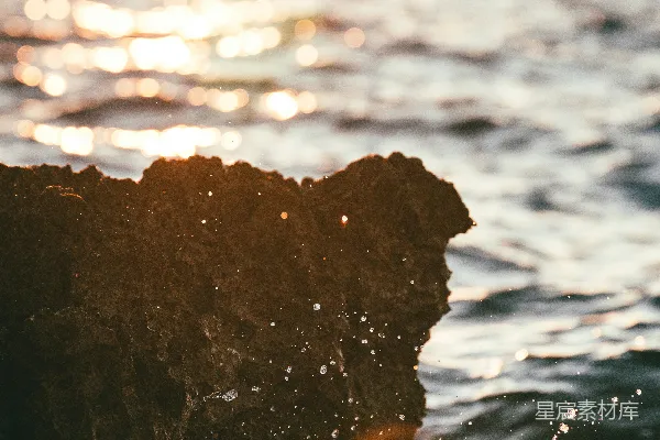 高清摄影 夕阳下的海浪与岩石