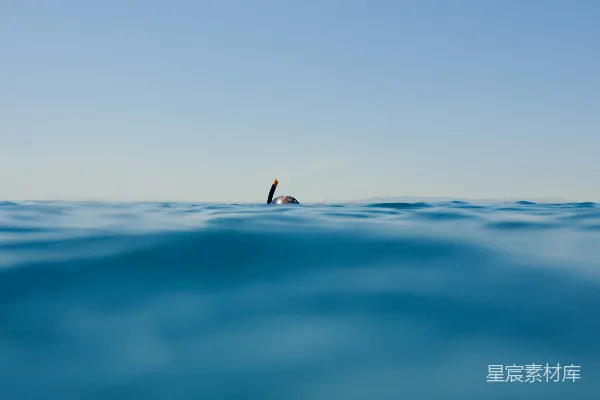 高清摄影 浮在海面上的浮标