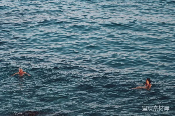 高清摄影 在海中游泳的两个人