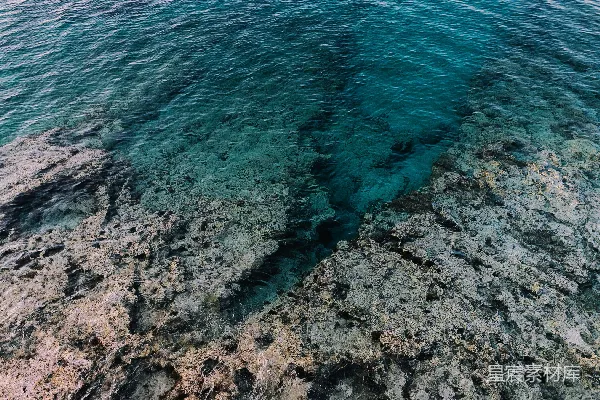 高清摄影 清澈海礁