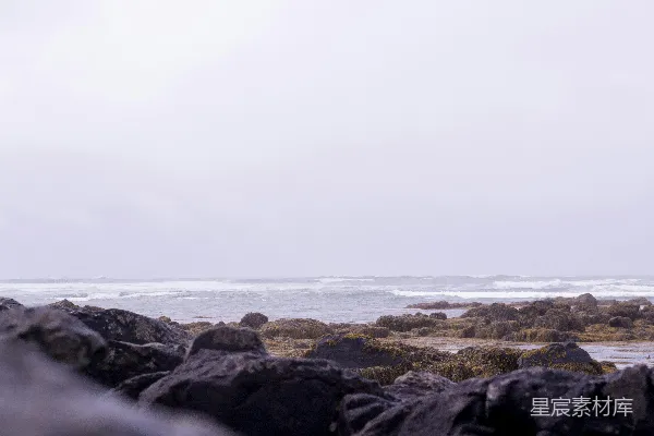 高清摄影 阴天海岸岩石