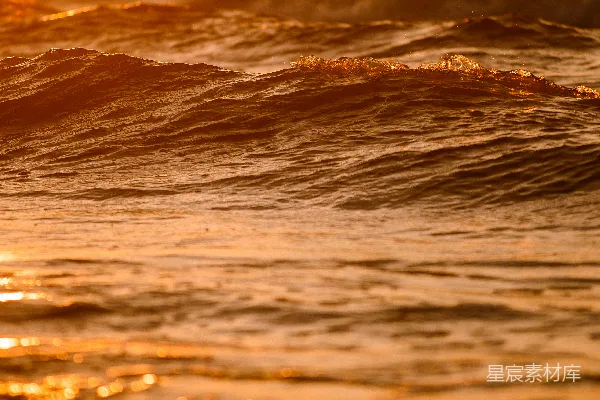 高清摄影 夕阳下的海浪