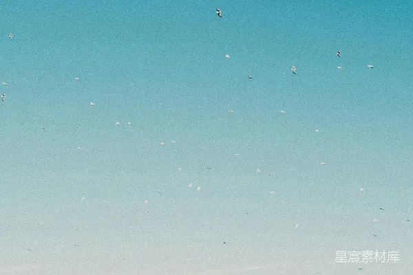 高清摄影 海天一色的自由