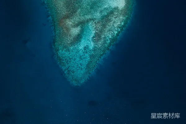 高清摄影 蔚蓝海域的珊瑚礁