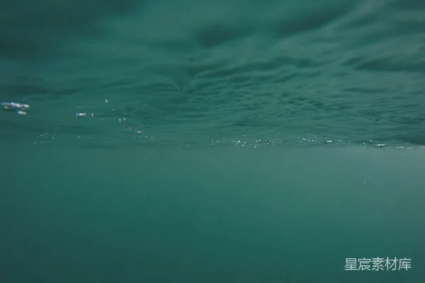 高清摄影 海面下的宁静