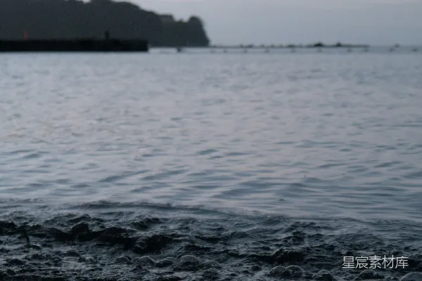 高清摄影 夕阳下的海滩泡沫