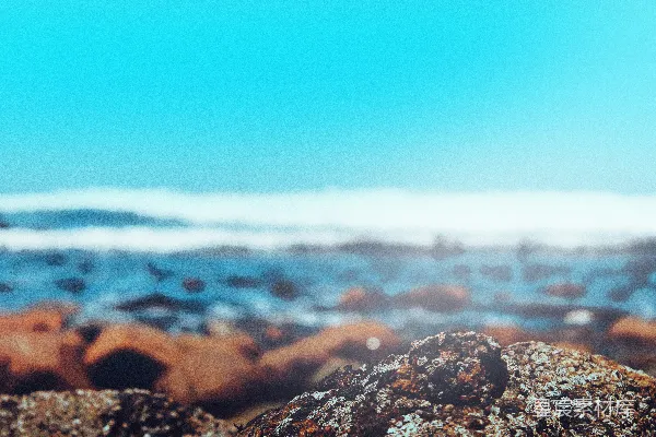 高清摄影 海边的岩石与波浪