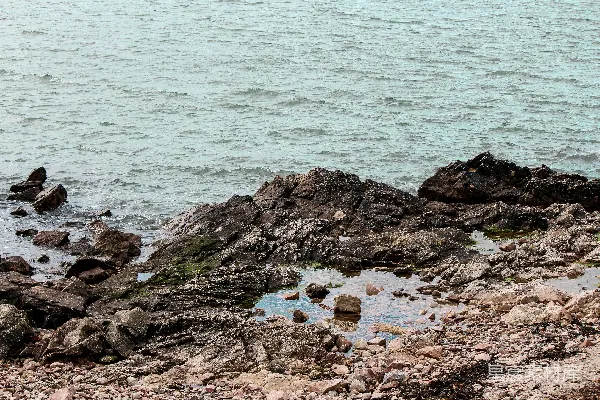 高清摄影 海边礁石与海浪