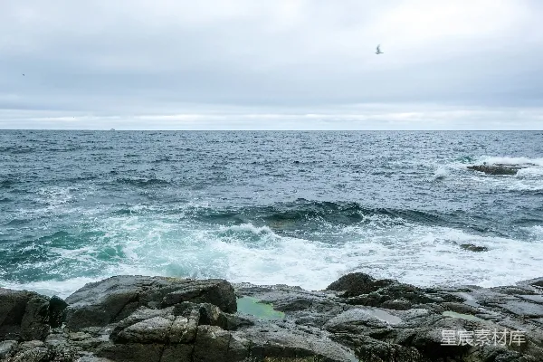 高清摄影 海岸礁石与海浪