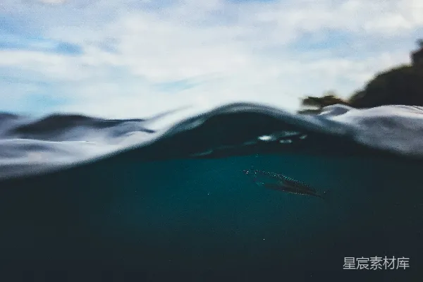 高清摄影 海浪与游鱼