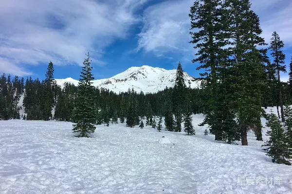 高清摄影 雪山下的宁静森林
