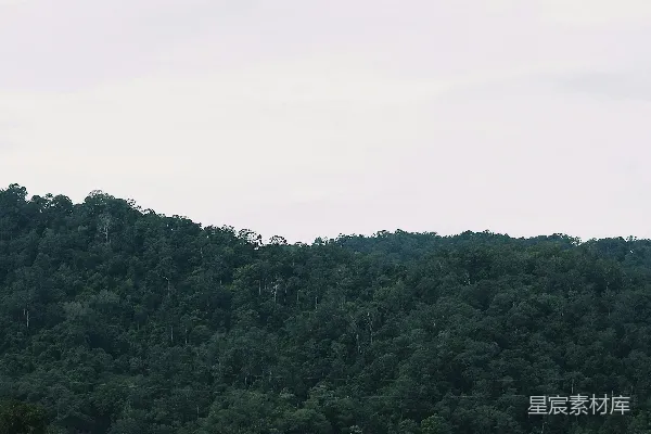 高清摄影 山间河流与桥梁