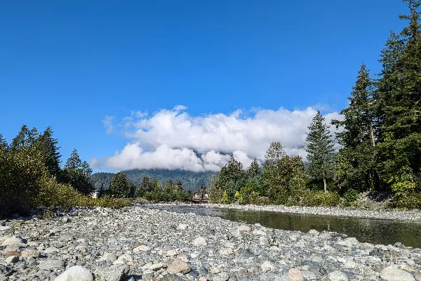 高清摄影 山间河流与云雾