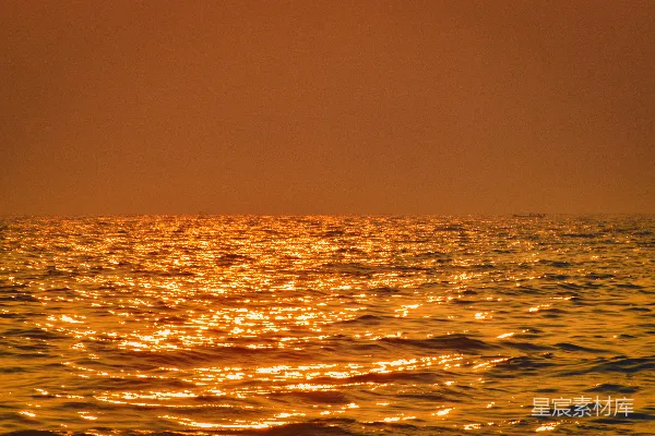 高清摄影 夕阳下的金色海洋