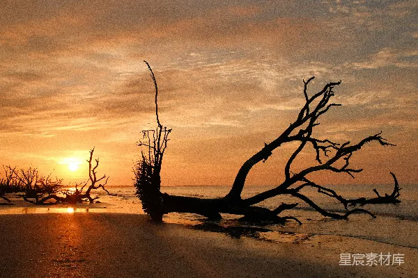 高清摄影 海滩上的夕阳剪影