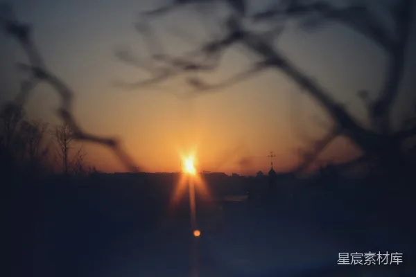 高清摄影 夕阳透过树枝的剪影