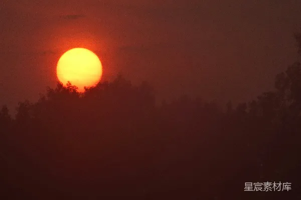 高清摄影 夕阳下的森林剪影