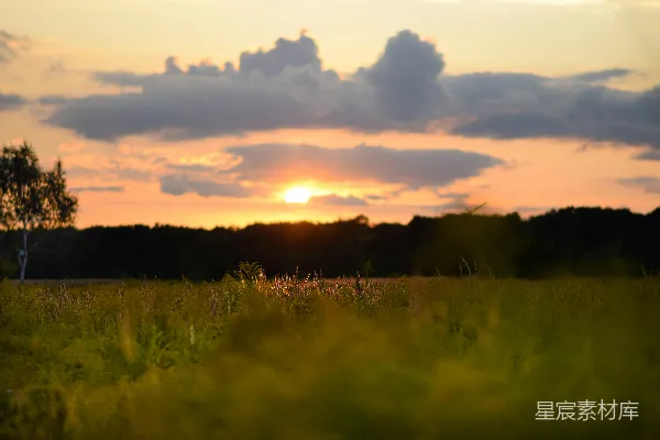 高清摄影 夕阳下的田野