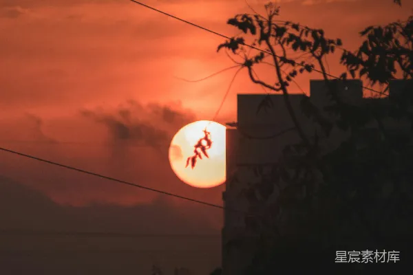 高清摄影 夕阳下的剪影