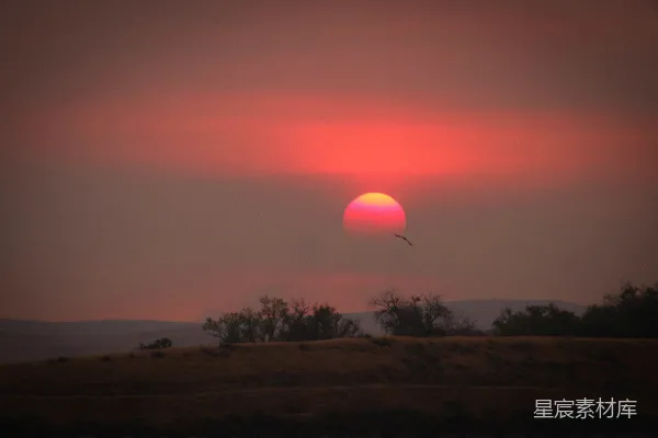 高清摄影 夕阳下的寂静田野
