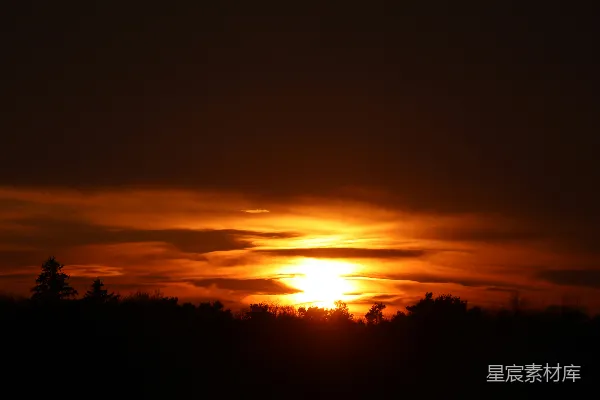 高清摄影 夕阳下的森林剪影
