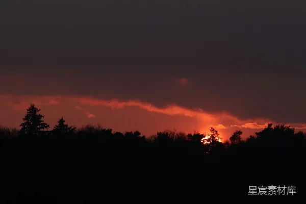 高清摄影 夕阳下的森林剪影