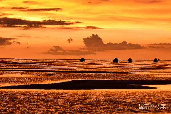高清摄影 夕阳下的海滩探险
