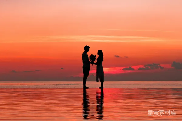 高清摄影 夕阳下的浪漫剪影
