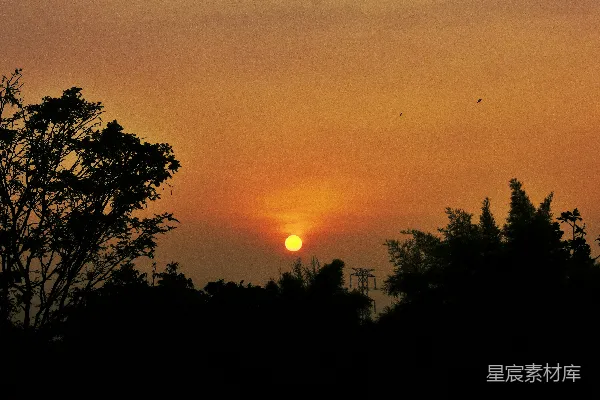 高清摄影 黄昏中的树影与夕阳