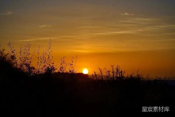 高清摄影 夕阳下的田野