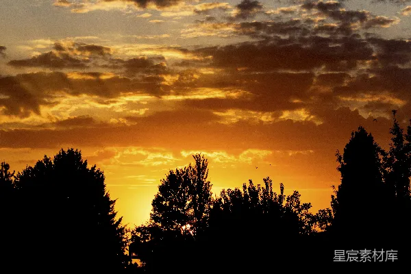 高清摄影 夕阳下的宁静