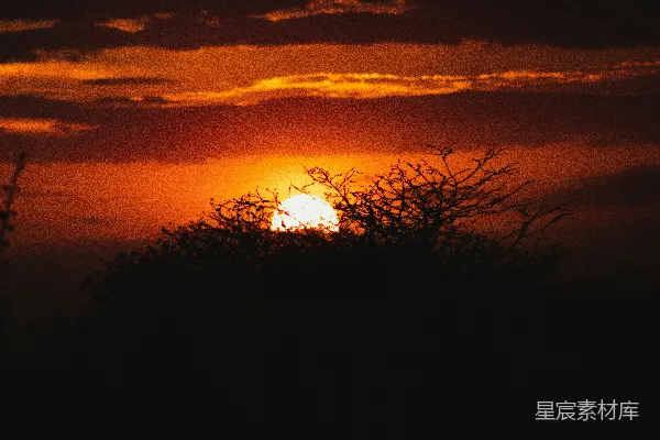 高清摄影 夕阳下的荒野剪影