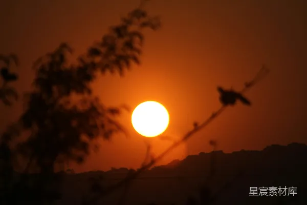 高清摄影 夕阳下的剪影