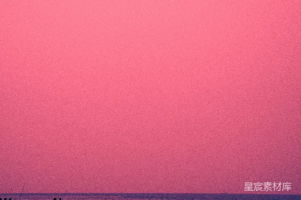 高清摄影 粉红夕阳下的海边垂钓者