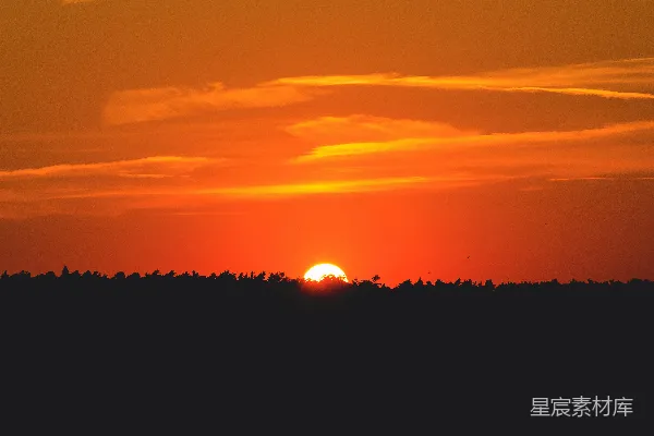 高清摄影 夕阳下的宁静森林