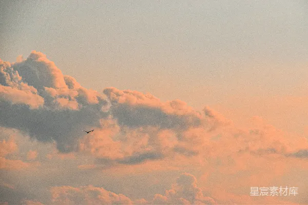 高清摄影 夕阳下的云与鸟