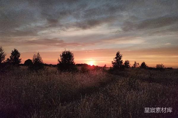 高清摄影 夕阳下的田野