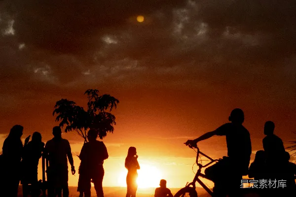 高清摄影 夕阳下的剪影